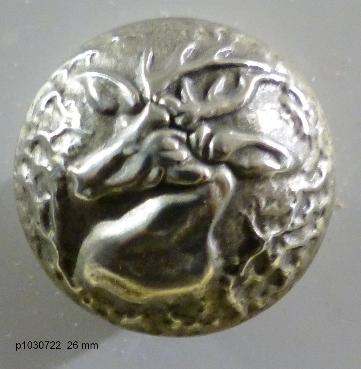 Ancien Bouton Corne Venerie Chasse Cerf Équipage - 17 Mm - Collection France