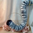 Bild 8 von 11