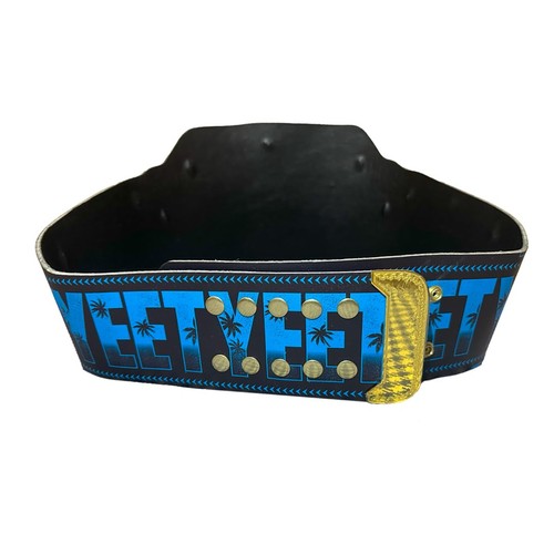 YEET Heavyweight Championship Wrestling Title Replica Belt 2MM Brass Adult Size - Bild 3 von 8