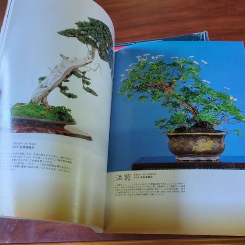 Kinbon Bonsai Magazine Set 1985 1989 7 Issues Satsuki Kenkyu 1986 Rare Collector - Picture 6 of 6