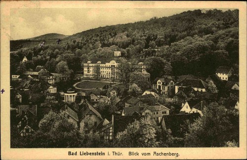 Bad Liebenstein Thüringen Postkarte 1925 Teilansicht Blick vom Aschenberg Wald
