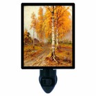 Fall Decorative Photo Night Light, Golden Autumn, Trees