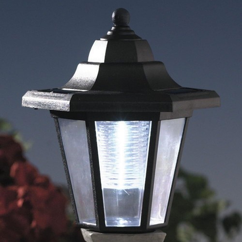 Solar Bichon Garten Laterne Harz Outdoor Hund Skulptur mit LED Licht - Bild 2 von 4