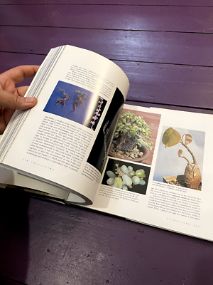 Caudiciform and Pachycaul Succulents 洋書 Caudiciform and