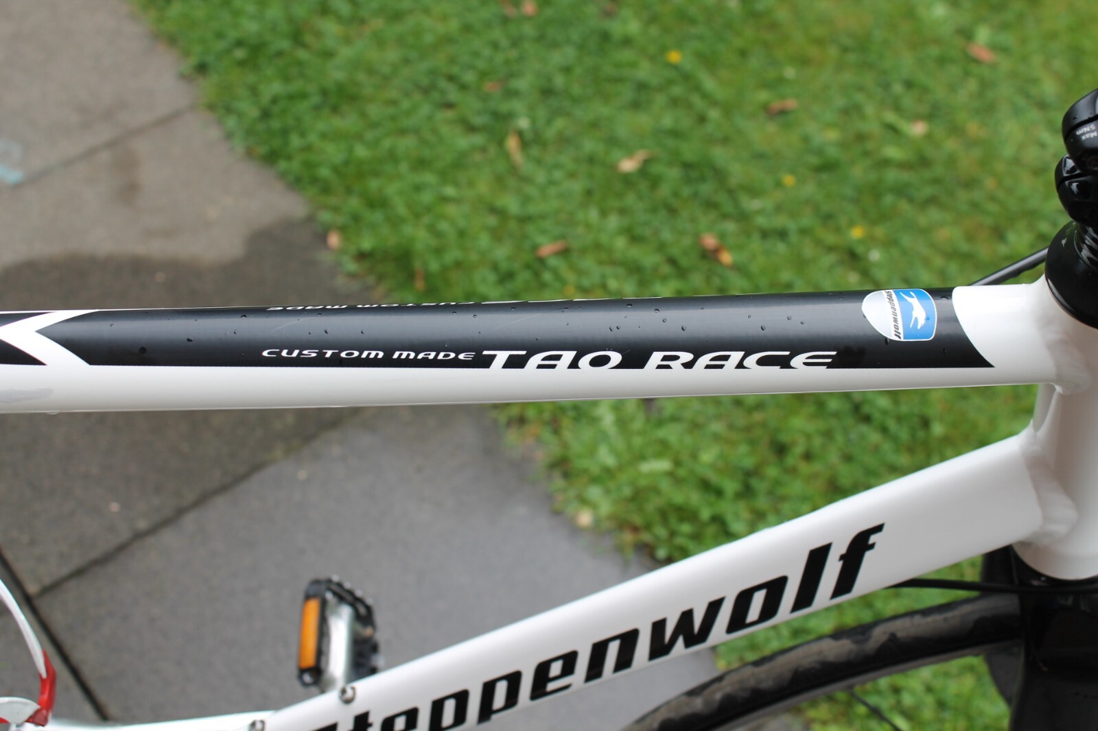 Bild 12 von 15