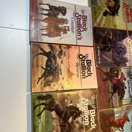 Vintage Black Stallion by Farley paperback book Lot of 15 - Imagen 6 de 11
