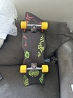Picture 5 of 5