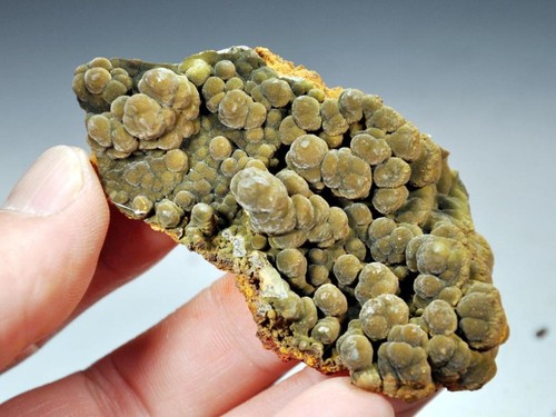 3" Botryoidal Mottramite Cluster, Mapimi, Mexico! Mottramite113 - Picture 4 of 5