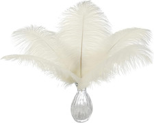 Beige Ostrich Feathers Bulk - 24Pcs 10-12Inch Boho Feathers for Vase Wedding Par