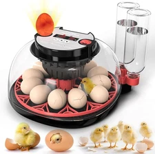 12 Egg Incubator with Automatic Egg Turning and Humidity Control