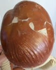 Foto 21 di 24