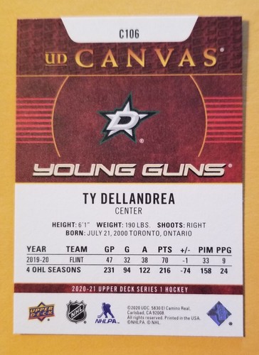 2020-21 Canvas Young Gun Rookies Series 1 and 2 **U-Pick**U Save** - Bild 8 von 12
