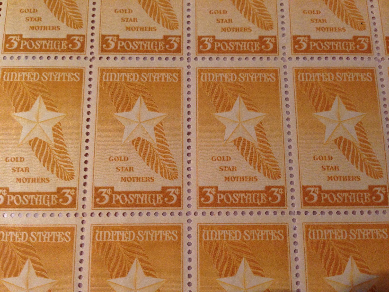 Picture 6 of 12