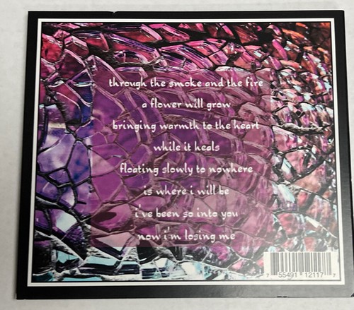 Michael Lubeck (Lubecke) CD 2018 “Dragon Fly”Solo Acoustic Progressive Artist. t - Picture 2 of 3