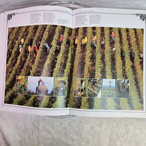 The Art Of The Wine Maker-Large Hard Cover 1981-256 Pages Serena Sutcliffe - Imagen 11 de 14