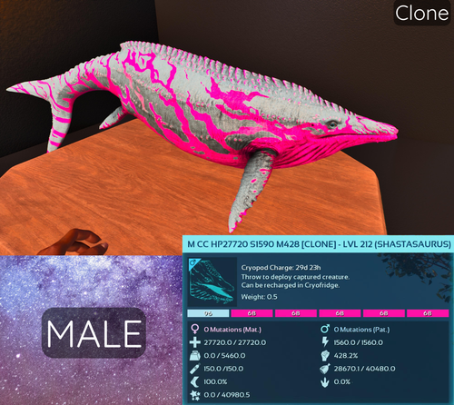 Ark Ascended Official PVE PS5 XBOX PC SHASTASAUR HIGH STATS COTTON CAND CLONE - Picture 3 of 4