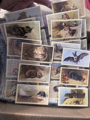 Tarjetas comerciales de 5+ libras de imágenes efímeras de 1900 y más tarjetas de cigarrillos - Imagen 19 de 21