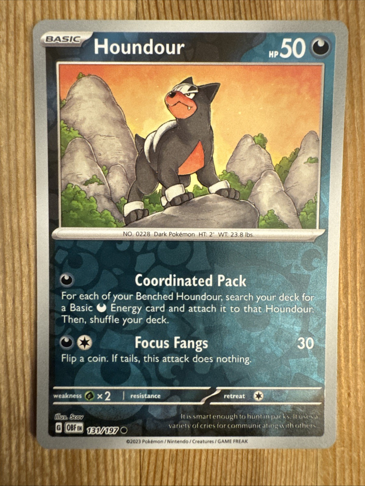 Houndour