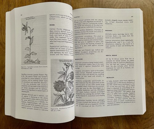 Medical Botany: Plants Affecting Man's Health - Picture 15 of 22