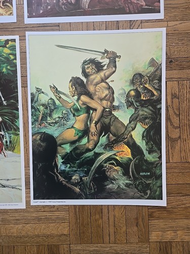 Vintage Conan der Barbar Fantasy Comic Kunstdrucke Fotos 11x14" Lot selten - Bild 9 von 18