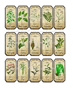 spice bottle labels