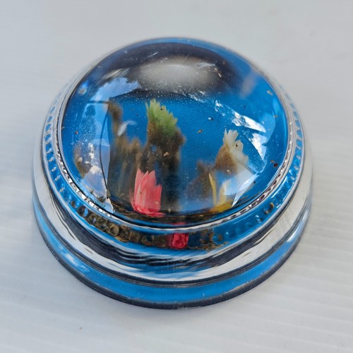 Dried Flower Paperweight Domed Blue Floral Clear Glass Cottagecore Retro Vintage - Picture 4 of 10
