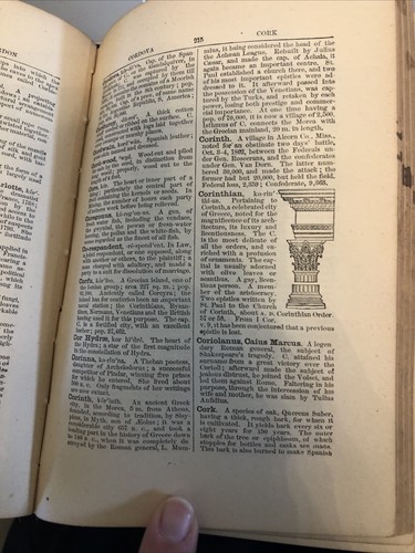 The National Standard Encyclopedia Illustrated 1884 A.L. Burt RARE - Picture 5 of 5