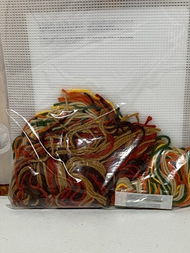 Mary Maxim Fall Foliage Thanksgiving Autumn Tissue Box Plastic Canvas Kit #22458 - Picture 3 of 3
