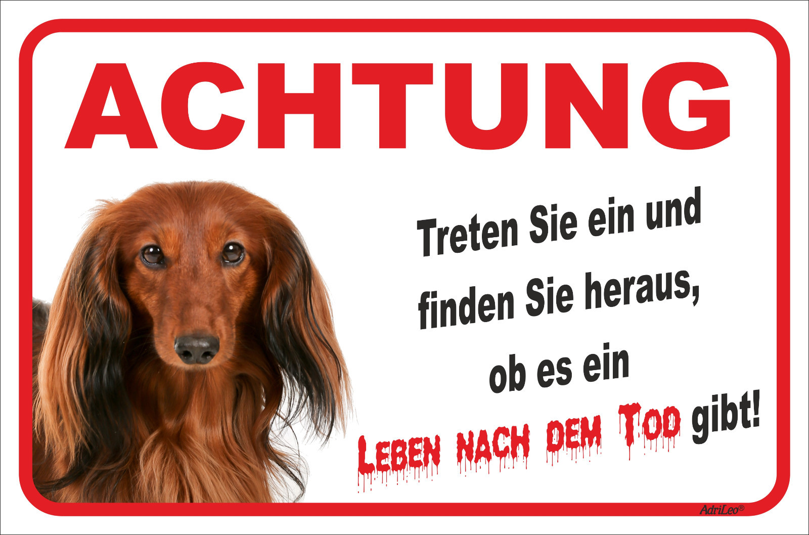 Bild 1 von 1