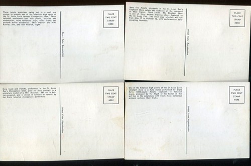 POSTALES DEL ZOOLÓGICO DE SAN LOUIS - 8 TARJETAS DE COLORES EN SOBRE POSTAL MÁS 5 TARJETAS FOTOGRÁFICAS - Imagen 2 de 9