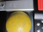 Picture 8 of 8