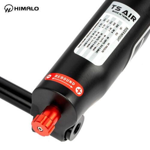MTB DH Fork Downhill Suspension ForkThru Axle 110mm*15mm 3.0 Tire Bicycle Forks - Picture 5 of 7