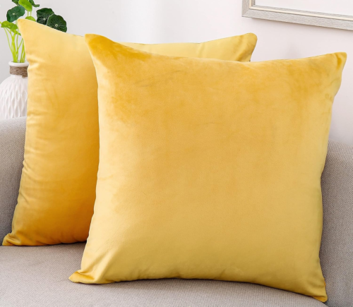 Decorative Throw Pillow Covers Velvet Soft for Couch Sofa Bedroom Living Room Ou
