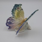Bild 12 von 12