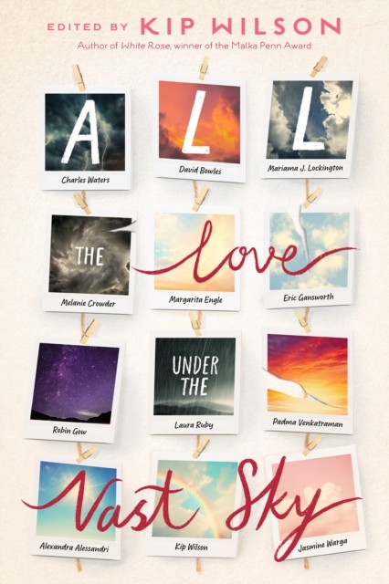 All the Love Under the Vast Sky by Alexandra Alessandri (Hardback Book)