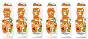 6 X VIDAL BAGNO500 Ml. Super Foodpapaya/Kalk