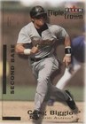 2001 Fleer Triple Crown - Craig Biggio #69