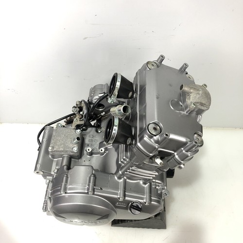 ♻️ Suzuki Gw 250 Inazuma ZL4 2013 - 2018 Engine With Warranty J508 ♻️ - Picture 6 of 24