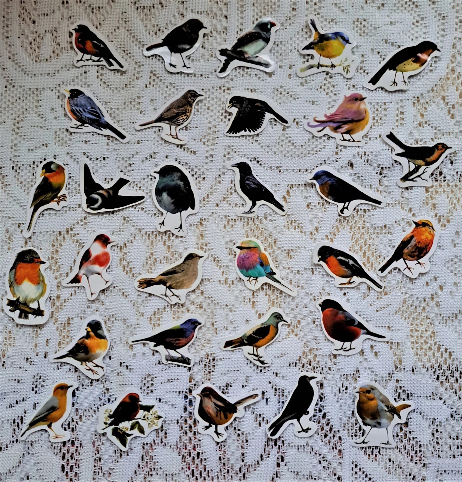 Robin Bird Mix Stickers,Wild Garden Birds Decals, Scrapbook Stickers Planner,30