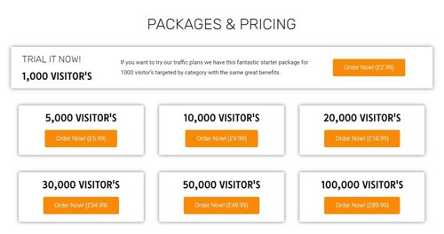 Traffic Reseller Website - Full Setup, Domain and First Month Hosting Included! - Picture 3 of 5