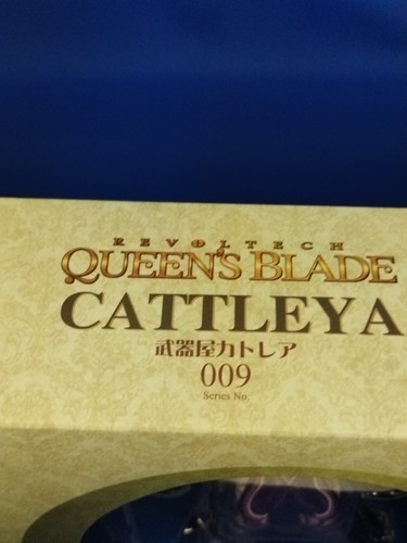 Figura Kaiyodo Japón Rara NUEVA Tienda de Armas Cattleya Revoltech Queens Blade 009 - Imagen 5 de 12