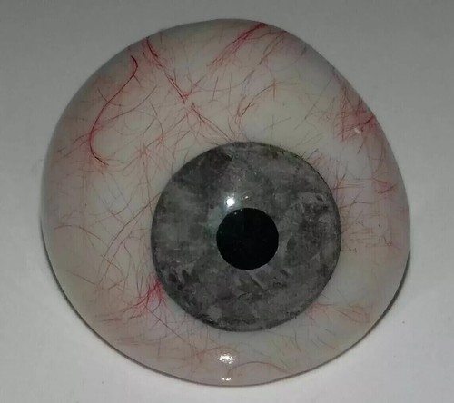 2x grau menschliches realistisches künstliches Auge natürliches Prothese Paar beste Qualität - Bild 6 von 8