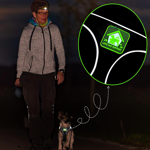 6 Pcs Small Dog Harness with Retractable Leash and Bowknot Pet Collar Set Soft M - Picture 4 of 7
