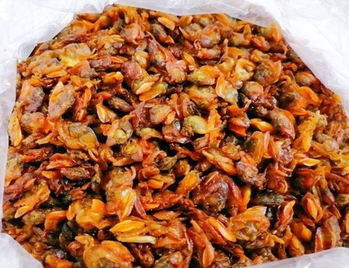 Thailand New Dried striped mollusks, Processed Seafood Clean Fresh High Quality - Picture 4 of 12