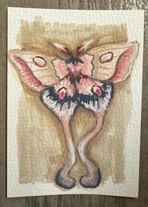 ACEO Pink Grey Moth Bug Butterfly Original Azrael Fitzpatrick