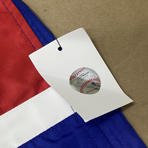 G-III L Large Sports by Carl Banks Royal Chicago Cubs Sea Wind Swim Shorts Men's - Picture 6 of 12