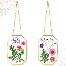 Qunclay 2 Pcs Glass Pressed Flower Frames Hanging Picture Clear Floating Octa...