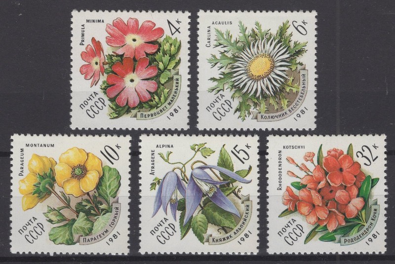 Russia 1981. Flowers of the Carpathian Mountains. Scott # 4943-4947. MNH, VF