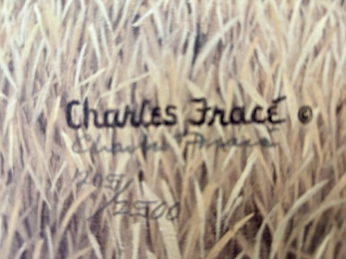 Charles Fracé - "Young Explorer"- Limited Edition Signed Lithograph-#205/2500 - Picture 3 of 4