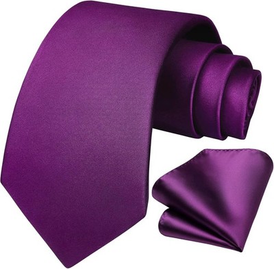 HISDERN Herren Krawatte Taschentuch Einfarbig Krawatte & Einstecktuch Set